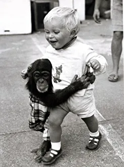 Primates Prints: Baby Carl and Fibber McGhee the Chimpanzee - September 1969 Junior member of