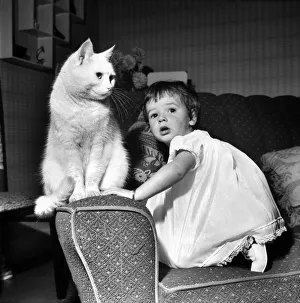 Baby and Cat: Karen at home with cats at the sink with nappies etc