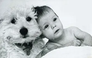 Tears Prints: Baby Lucinda with her three year old West Highland terrier Haggis January 1976