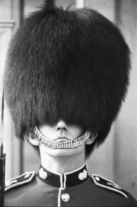 00966 Prints: Bad Hair day for a Grenadier Guard on sentry duty outside Buckingham Palace 14th October