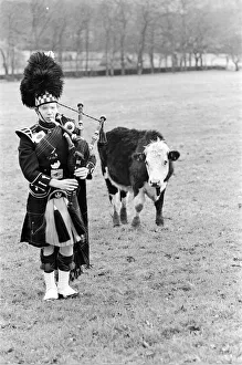 Bagpiper Craig McIntosh practises playing his bagpipes in a field