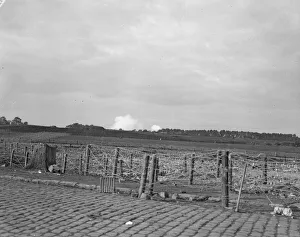 Barbed wire entanglement built by the Belgian army along the Lierre Road