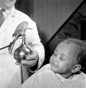 Barber Shop Humour: Mr. Jim Reid with Billy the Budgie seen here at the barber shop
