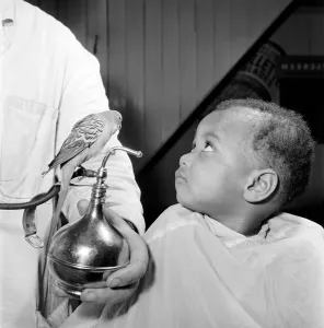 Barber Shop Humour: Mr. Jim Reid with Billy the Budgie seen here at the barber shop