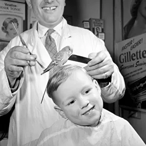 Barber Shop Humour: Mr. Jim Reid with Billy the Budgie seen here at the barber shop
