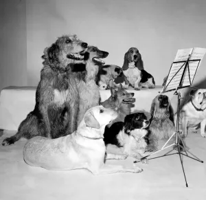 The Barking and Houndsditch Choral Society A new record is being released called