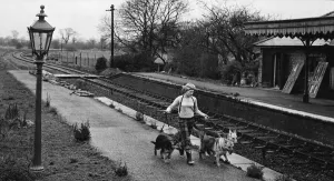 Tracks Prints: Barnwell Junction railway station provides plenty of space