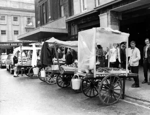 Fruit Prints: Barrow boys with their barrows lined up ready to go trading on the streets of Newcastle