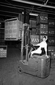 01398 Prints: Bassets confectionery factory, Owlerton, Sheffield
