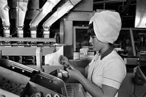01398 Prints: Bassets confectionery factory, Owlerton, Sheffield