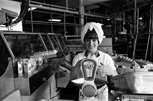 01398 Prints: Bassets confectionery factory, Owlerton, Sheffield