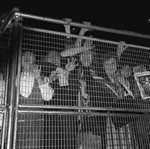 Beatles fans at Wimbledon Palais. 14th December 1963