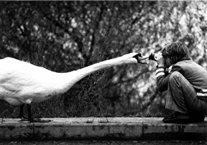 Photography Prints: Up beck and personal or Watch the birdie. David Varley seen here taking a picture