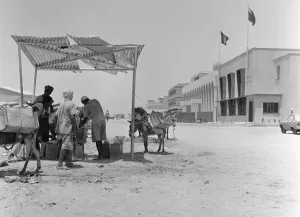 Middle East Prints: Bedouins loading up donkeys with supplies from a road side stall for their desert