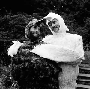 Bee Gee brothers Barry & Maurice Gibb dress up as birds for a scene in their upcoming tv