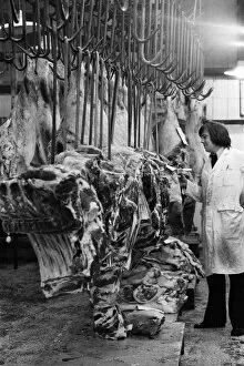 Images Dated 9th July 1974: Beef in Smithfield Market. 9th July 1974