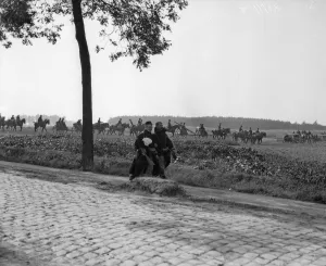 Belgium Prints: Belgian artillery seen here taking up position in a field close to Termonde