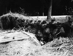 Belgian Prints: Belgian soldiers firing from a trench in woodland 1914 World War One