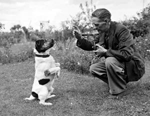 Begging Prints: Ben the talking dog belonging to Mr Beissenden of Royston 10 / 8 / 46