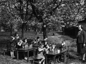 Trees Prints: Beneath the blossom of a Kentish Cherry Orchard these little children of the Stackbury