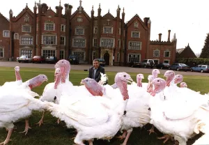 Turkeys Prints: Bernard Matthews of Matthews Turkeys on the lawn outside his Mansion in Norfolk with