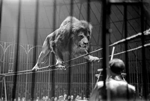 00015 Prints: Bertram Mills Circus at Luton. April 1950 April 1950 O23401-010