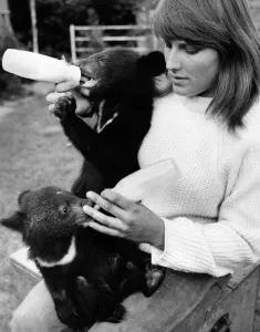 Milk Prints: Beth Reed with Tinker and Tucker, the yound bear cubs and her pet Great Dane Rio