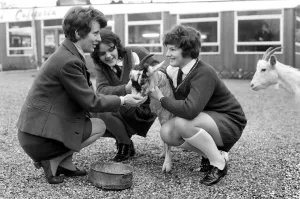 Goats Prints: Betty the goat goes to school: Sallie and Jean with help of teacher Miss Angela