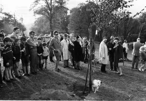 Ceremony Prints: Billy B dog peeing against a tree planted by the Mayor at Whetstone Stray Barnet 1969