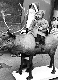 Taxidermy Prints: Billy Cadell met Santa and Rudolph the reindeer in Market Street, Edinburgh