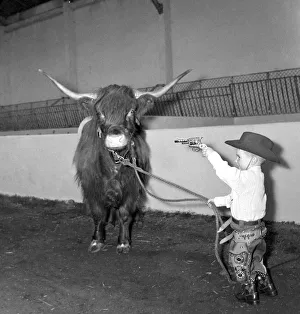 Horns Prints: Billy Smarts Circus 2 year old Gary Smart rounds up Highland Oxen in his