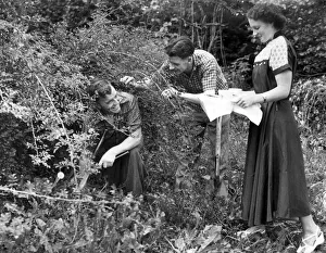 00469 Prints: Birmingham City footballer Alex Govan in his back garden with Jackie Stewart take tea
