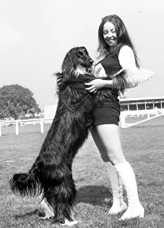 Birmingham Dog Societys national show at the National Agricultural Centre