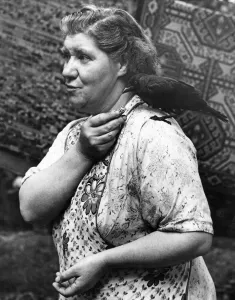 Birds Prints: Birmingham housewife feeds her pet jackdaw whilst in the garden beating her rugs