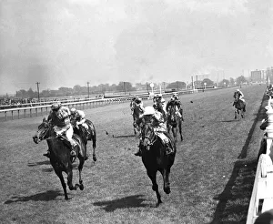 1961 Prints: Birmingham Race course. Del Silva (right) winning the Tile Hill Plate from Scarlet