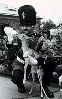 Deer Prints: Blackbuck Deer regimental mascot Royal Fusiliers being fed milk from bottle by Corporal