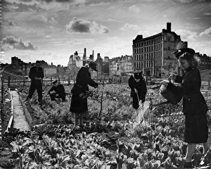 After the blitzing of the City of London, Red Cross Street Fire Station