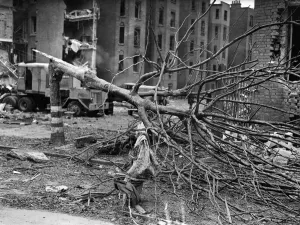 Wreckage Prints: When a block of flats was hit in Maida Vale by a V1 flying bomb a large tree was