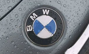 Badges Prints: BMW 635 CSI February 1998 Detail of badge logo grey metallic paint