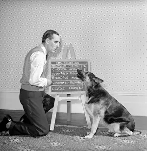 Bob Smith and his alsatian dog who helps him pick his football pools. 1957