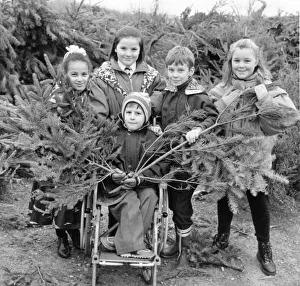 Disabled Prints: Bobby Keeley gets some help collecting christmas trees from left to right Bianca Sherlock