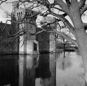 Trees Prints: Bodiam Castle, a 14th-century moated castle near Robertsbridge in East Sussex