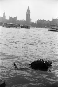 01303 Prints: Bodies floated up and down the Thames alongside County Hall and no one batted an eye