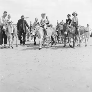 Donkey Prints: Bognor Regis a seaside resort town in the Arun District of West Sussex