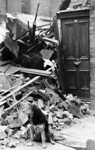 Demolished Prints: Bomb damage in Liverpool. Shep, the old dog standing outside the door of his home after