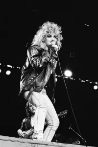 Festival Prints: Bonnie Tyler (real name Gaynor Hopkins) appearing at The Reading Festival