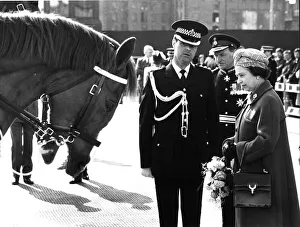 Bow for the Queen, a police horse shows his respect for Queen Elizabeth II as she