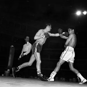 Boxing Sollas v. Revie: Vernon Sollas won last nights European Boxing Championship when