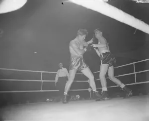 Boxing Stephen Olex vRay Wilding DM 14 / 11 / 1951 B5365 / 2