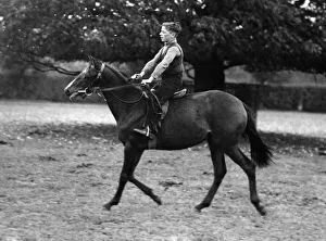 Boy Jockey with a Future: Young apprentice rider Denis Dillon